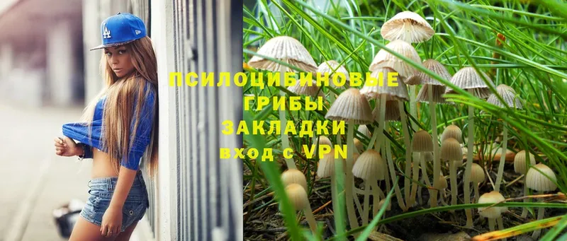 Псилоцибиновые грибы Psilocybe  продажа наркотиков  MEGA рабочий сайт  Череповец 